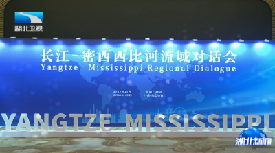 长江－密西西比河流域对话会在武汉举行 诸葛宇杰出席