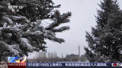 今年冬天是冷冬吗？究竟如何判别冷冬还是暖冬