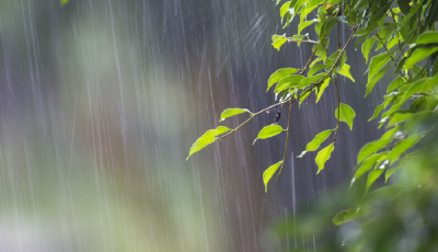 湖北今天雨水再上线 但好消息是......