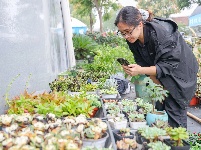 图集丨长湖花木大世界：浪漫秋色 花卉飘香