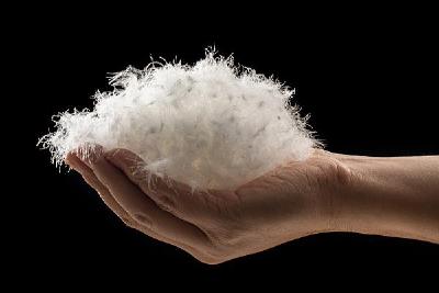 冷空气来袭，如何正确挑选羽绒服？