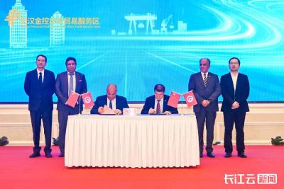 大悟黄茶借力中国（湖北）突尼斯经贸合作对接会进军非洲市场