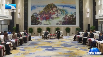 陈平在十堰会见参加2025国际武当太极文化节的重要外宾