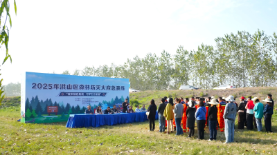 提升实战能力筑牢安全防线