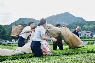 “恩BA”：赛事燃情铸品牌 荣誉加身践初心