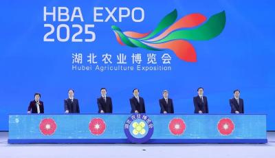 2025湖北农业博览会在汉开幕 加快建设农业强省 打造新时代鱼米之乡 王忠林出席并启动开幕 诸葛宇杰江文胜致辞