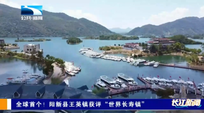 全球首个！黄石阳新县王英镇获评“世界长寿镇”