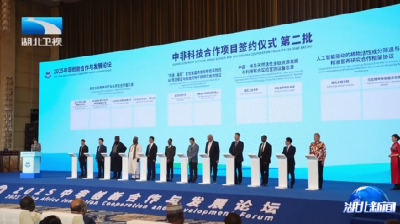 2025中非创新合作与发展论坛39项科创成果签约