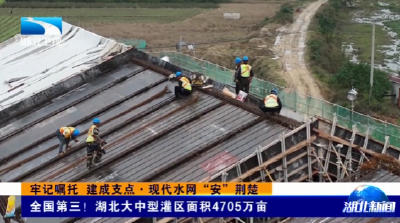 牢记嘱托 建成支点·现代水网“安”荆楚 | 全国第三！湖北大中型灌区面积4705万亩