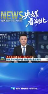 湖北两登央视《新闻联播》乡村振兴！文旅发展！解锁发展新图景