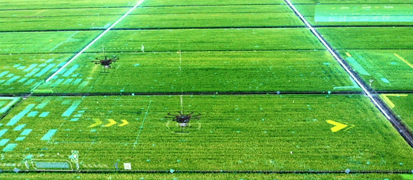 建好新时代“鱼米之乡”，从这场三农盛会看见湖北答案！