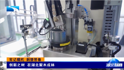 牢记嘱托 荆楚答卷 | 创新之树 在湖北聚木成林