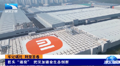 牢记嘱托 荆楚答卷 | 巨头“追投” 武汉加速全生态创新