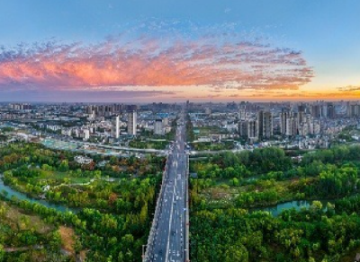 湖北襄阳：万鸟翔集见证生态涅槃