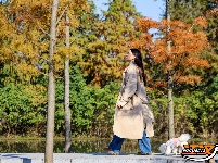 图集 | 樱花谷水杉林迎来最佳观赏期