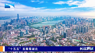 “十五五”发展看湖北丨完善治理体系 促进高效能治理