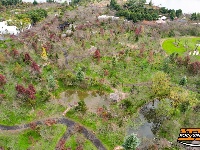 图集 | 荆州浅山森林美术园“枫”景正美