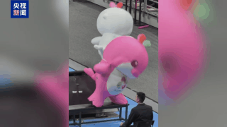 16斤玩偶服藏不住可爱 全运会吉祥物斗舞名场面