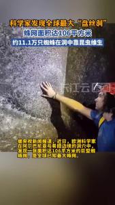 科学家发现全球最大“盘丝洞”