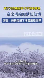 绝美！咸宁九宫山迎来今年首场雾凇