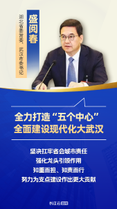 湖北17市州书记这样说