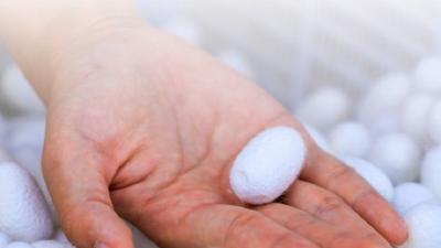 7部门发文开展茧丝绸产业“东绸西固”工作