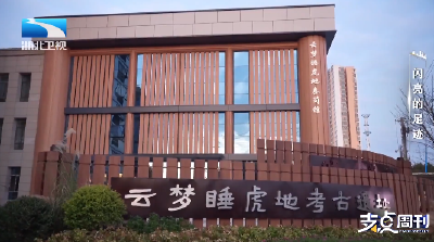 闪亮的足迹丨支点观察：古简新生 文脉赓续