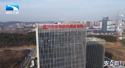 闪亮的足迹 | 支点观察：在湖北的科创沃土上“起飞”