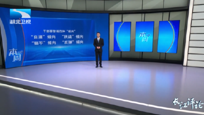 长江评论·本周 | 四种干部要不得！