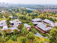 图集丨银杏上金妆！ 荆州纪南文旅区限定款秋色上线