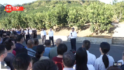 独家视频丨习近平在广东省梅州市考察调研