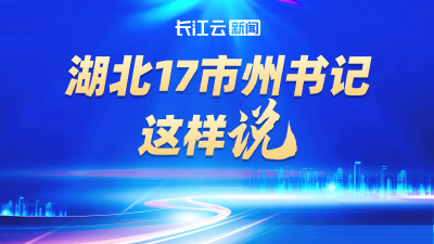 湖北17市州书记这样说