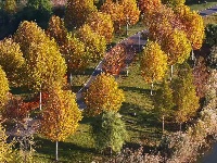 图集 | 枝江金湖，等你来“追鸟”！