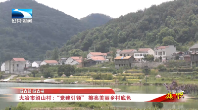 好支部 好支书 | 大冶市沼山村：“党建引领” 擦亮美丽乡村底色
