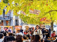 荆州街头银杏金黄 氛围感拉满！