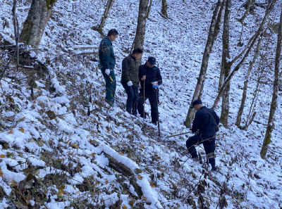 精准监测守护林海 神农架国家公园以科技助力林草湿荒化调查