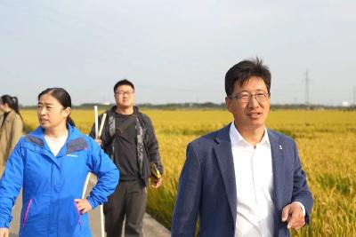 大国小村 | 这个村在5G云端“种”出示范田