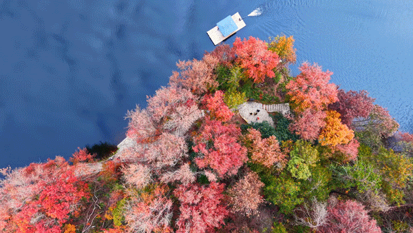 别去日本了！日本有的，湖北都有！