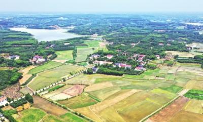 “四方联动”聚合力 绿色种养促振兴