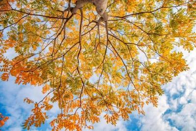 全国入冬进程图来了 南方多地提前入冬