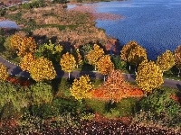 图集 | 枝江金湖，等你来“追鸟”！