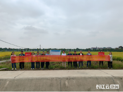 双院协同强科技 良种赋能江汉稻业升级