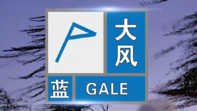 大风蓝色预警！新疆内蒙古等地部分地区阵风可达8至9级