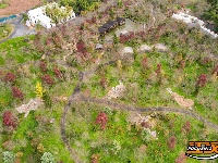 图集 | 荆州浅山森林美术园“枫”景正美