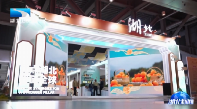 聚焦第八届中国国际进口博览会 | 探馆进博会：智链全球 湖北有“礼”