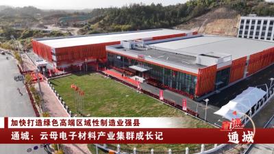 通城：云母电子材料产业集群成长记