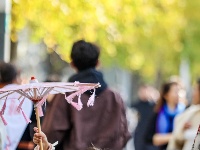 荆州街头银杏金黄 氛围感拉满！