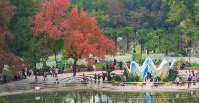 武汉“赏秋地图”上线！一键打卡最美秋叶