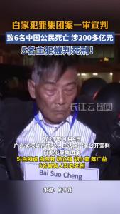 白家犯罪集团案一审宣判