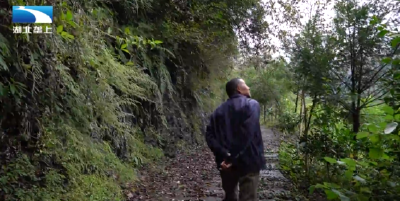 恩施鹤峰：七旬老汉回乡 打造花果生态园